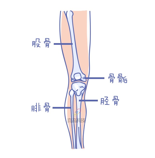 重啟骨骺線~你看起來很誘人！_10.png