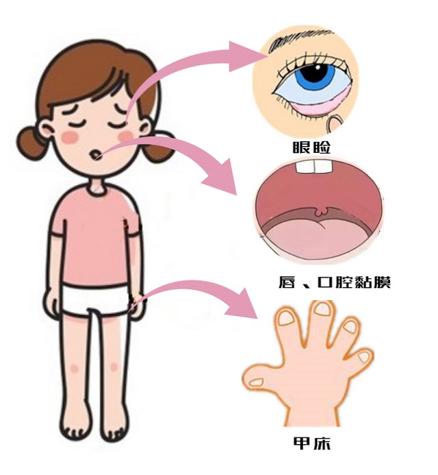 默認標題_自定義px_2019.02.13 (5).png