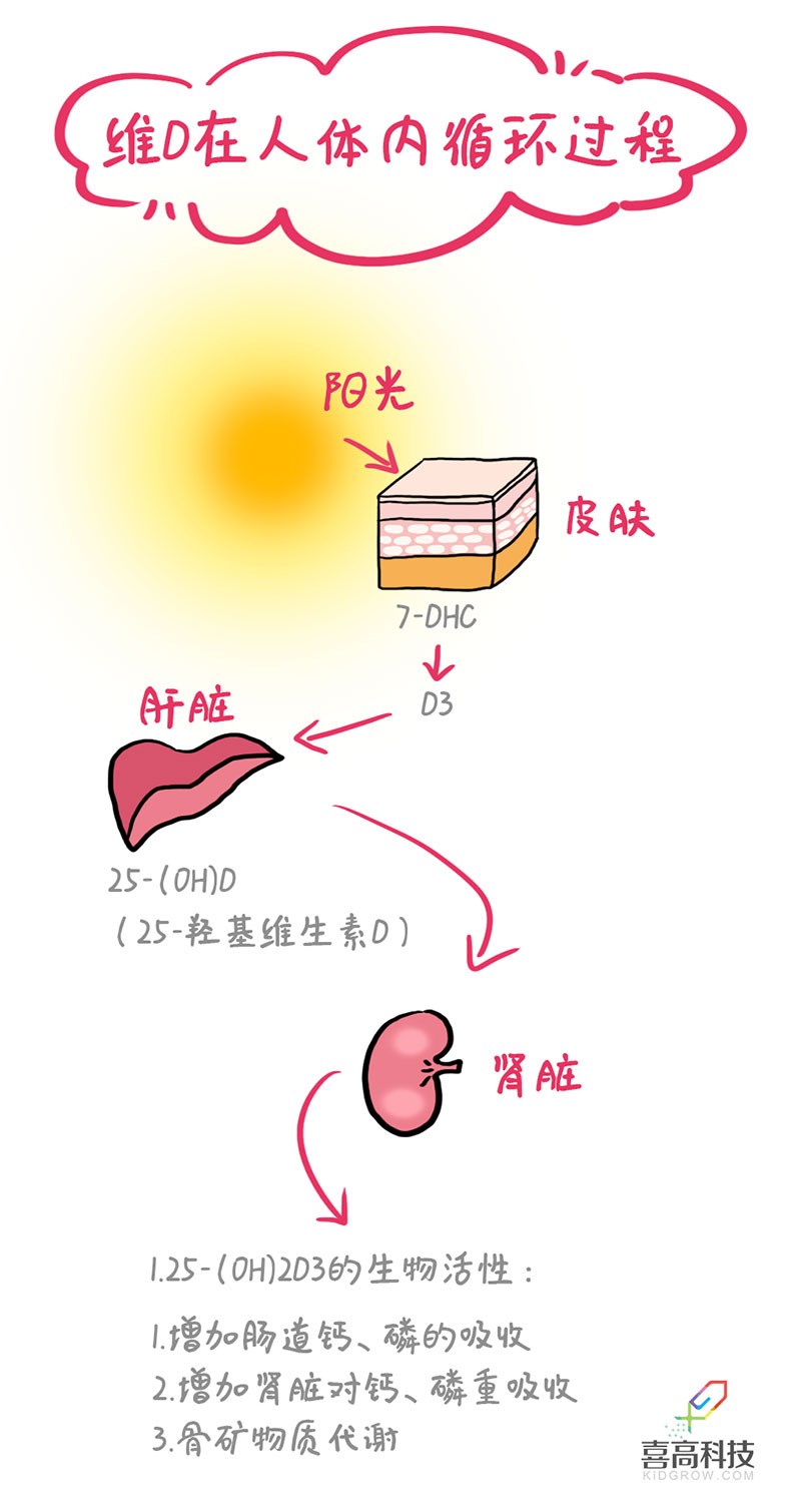 未標(biāo)題-1_04.jpg