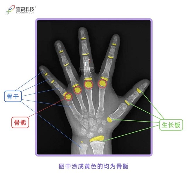 微信圖片_20210510100723.jpg